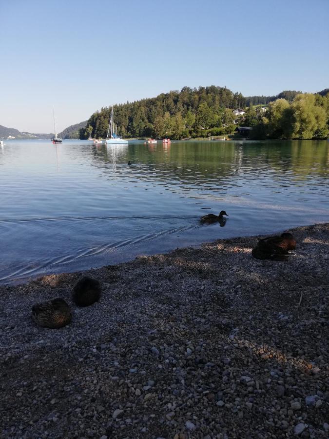 菲彻廷格包尔公寓 湖滨福煦 外观 照片